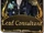 Lead Consultant