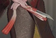 Geisha's Weapon