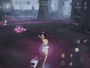 Snow Lotus Effect of picking up Fast Music Box