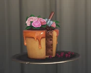 Front View of the Dish