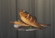 Front view of the dish