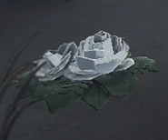 BackgroundTreeDrill.jpg (327 KB) Background Tree's Drill's change of appearance.