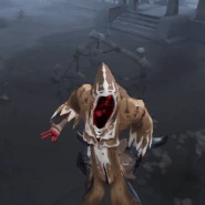 Particles from the Dark Amulet