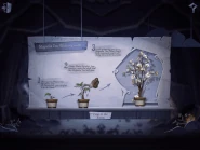 Magnolia Tree Watering Guide Interface