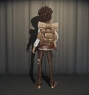 Wayfarer In-Game Model Back View