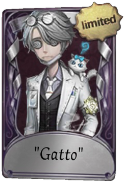 Gatto