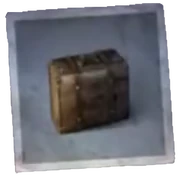 Wooden Suitcase- This exquisitely crafted wooden suitcase seems to be empty.