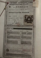 Dream Witch Profile from the Chinese Reference Book