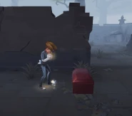 Effect when wishing at a chest