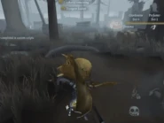 Planting a Peaceful Pine