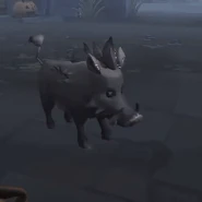 The accessory’s effects while using Howl