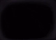 In Marshal's Entrance Animation.