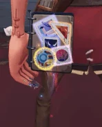 Stamp Album Detailed In-Game View