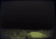 Mio Amakura Entrance Animation.