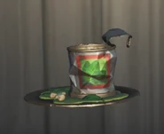 Front view of the Dish