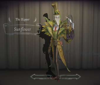Sunflower Identity V Wiki Fandom Sunflower Identity V Wiki Fandom