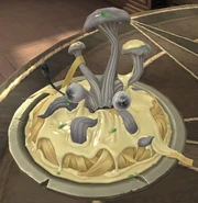 Detailed View of the Dish