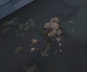 RedChurchEasterEggRoses