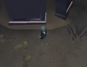 RedChurchEasterEggMole