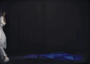 In Paranormal Detective's Entrance Animation.