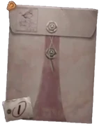 Rainmaker's Case File, in an envelope.