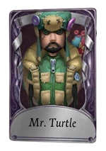 MrTurtle