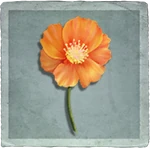 AngelsOfDeathCrossoverBattleQuestsClue2