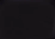 Sirius Entrance Animation.