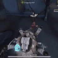 Frozen Heart cocoon effect.