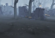 The fences's effects during and after the emerging process