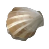 CoconutBreezePublicMapYellowShell