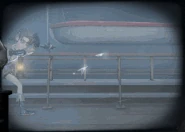 In Cabinet of Curiosities's Entrance Animation