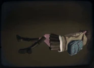 Tao Mengyan Press Animation.