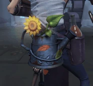 The effects on Good Old Times