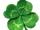 Four-leaf Clovers
