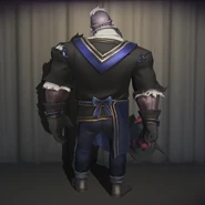 The costume's back view