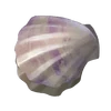 CoconutBreezePublicMapPinkShell