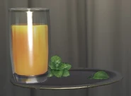 Front View of the Dish