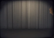 Rhythm of the Rain Entrance Animation