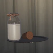 Appearance of Dish in Self Examination menu