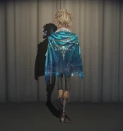 Bard In-Game Model Back View.