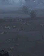 RemainsOfYellowRosesSummon.gif (2.8 MB) Remains of Yellow Roses Coffin Summon Effect