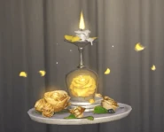 Front View of the Dish