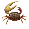 CoconutBreezePublicMapSwimmingCrab
