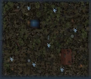 Codificador punto de spawn grupo 1