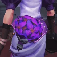 Iris Detailed In-Game View