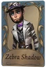 Zebra Shadow