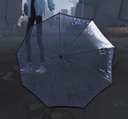 Top View of Umbrella