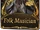 Folk Musician