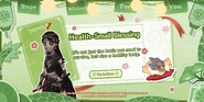 Health - Small Blessing
